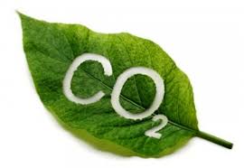 Feuille - CO2